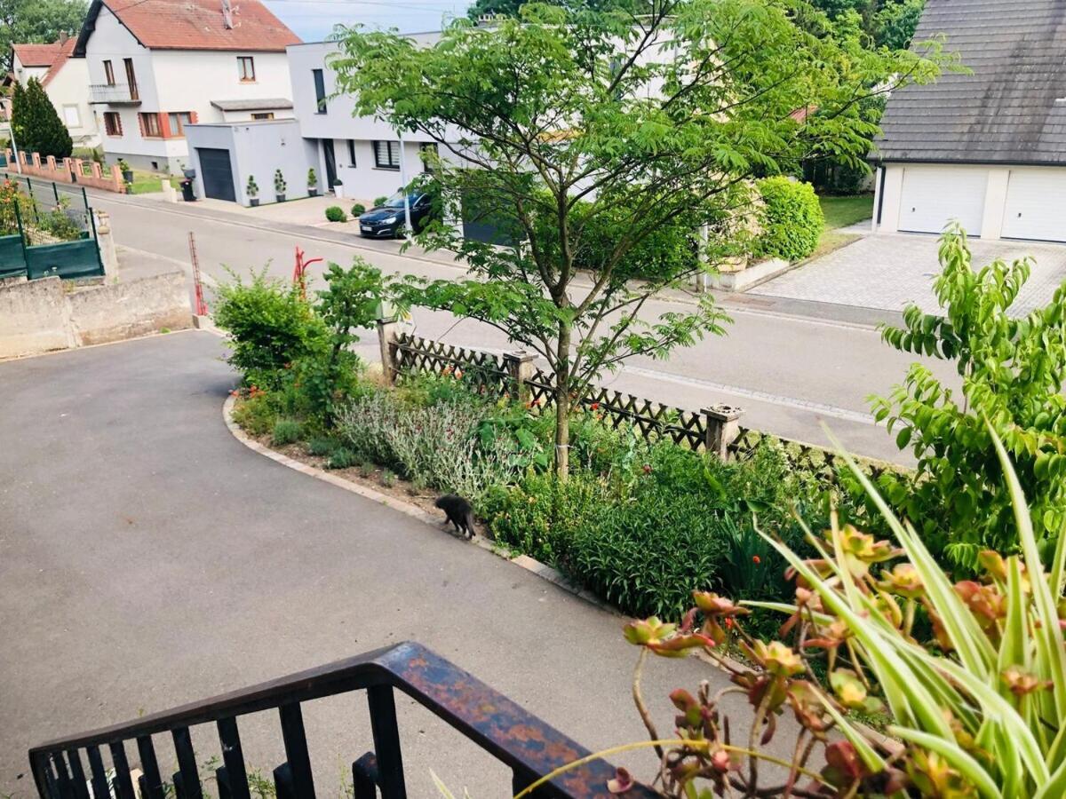 Gite Du Ried Bischwiller Exterior photo