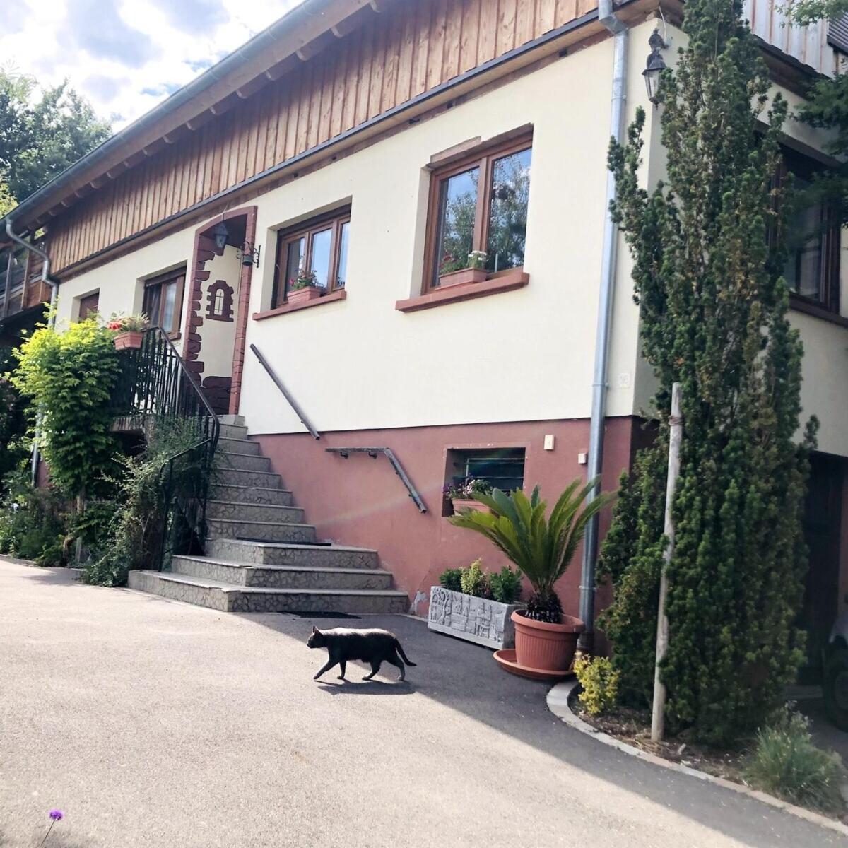 Gite Du Ried Bischwiller Exterior photo
