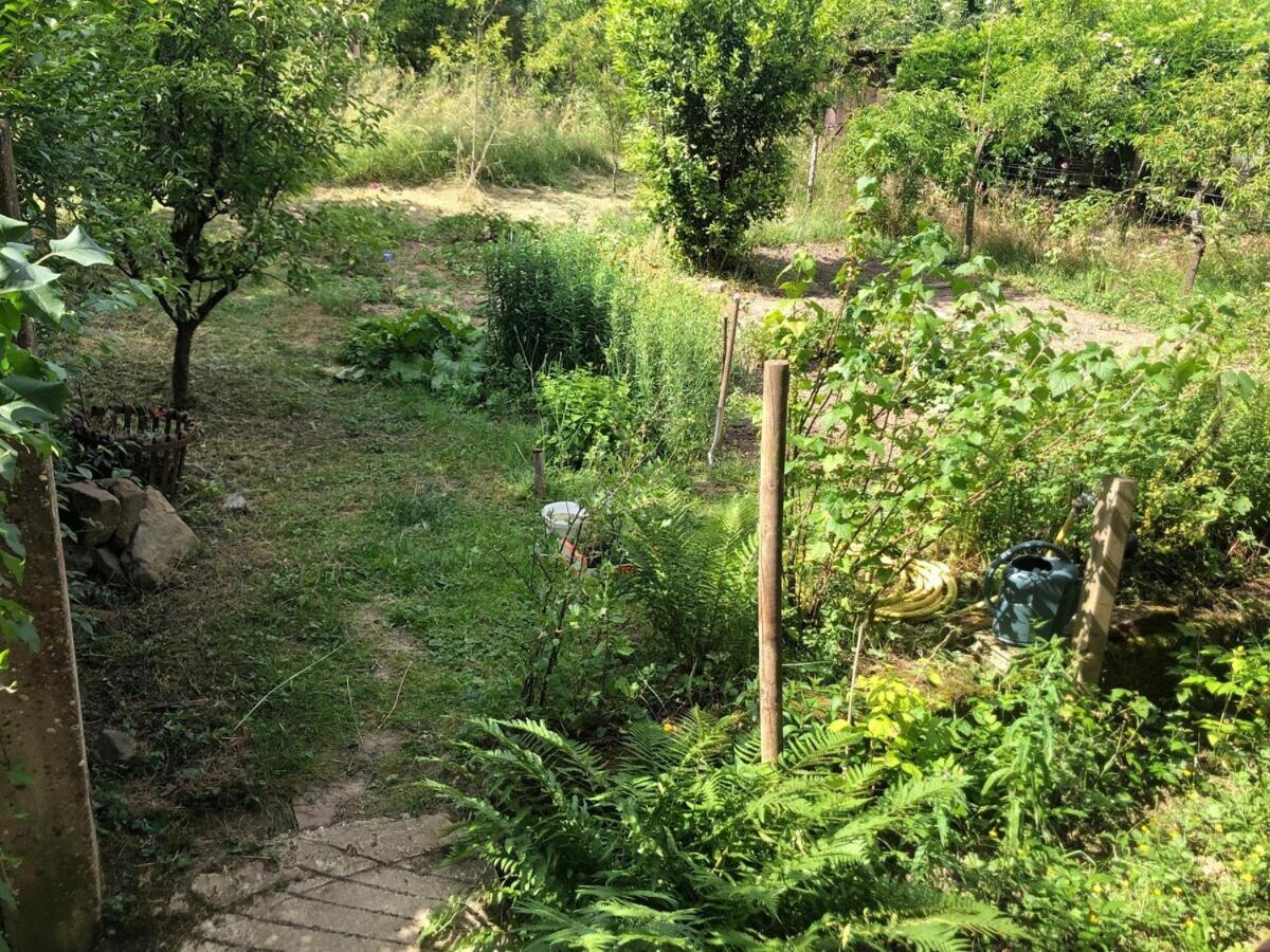 Gite Du Ried Bischwiller Exterior photo